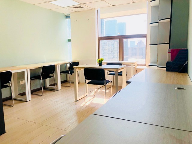 下城区花卉植物租赁方案